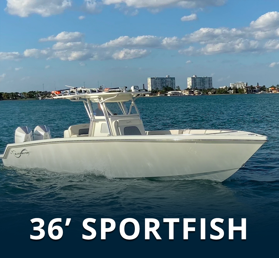 36 Sportfish